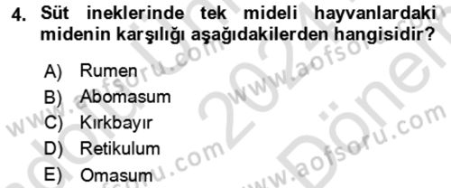 Hayvan Besleme Dersi 2024 - 2025 Yılı (Final) Dönem Sonu Sınav Soruları 4. Soru