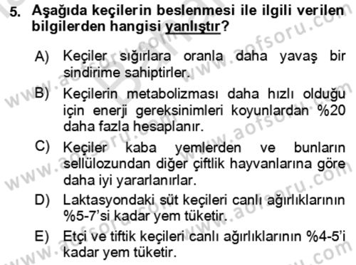 Hayvan Besleme Dersi 2024 - 2025 Yılı (Final) Dönem Sonu Sınav Soruları 5. Soru
