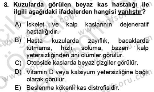 Hayvan Besleme Dersi 2024 - 2025 Yılı (Final) Dönem Sonu Sınav Soruları 8. Soru