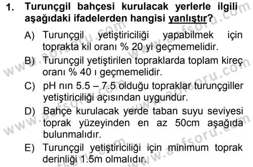 Bahçe Tarımı 2 Dersi 2012 - 2013 Yılı (Vize) Ara Sınav Soruları 1. Soru