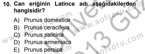 Bahçe Tarımı 2 Dersi 2012 - 2013 Yılı (Vize) Ara Sınav Soruları 10. Soru