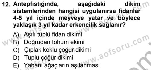 Bahçe Tarımı 2 Dersi 2012 - 2013 Yılı (Vize) Ara Sınav Soruları 12. Soru