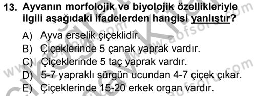 Bahçe Tarımı 2 Dersi 2012 - 2013 Yılı (Vize) Ara Sınav Soruları 13. Soru