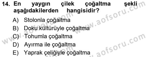 Bahçe Tarımı 2 Dersi 2012 - 2013 Yılı (Vize) Ara Sınav Soruları 14. Soru