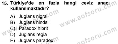 Bahçe Tarımı 2 Dersi 2012 - 2013 Yılı (Vize) Ara Sınav Soruları 15. Soru