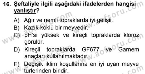 Bahçe Tarımı 2 Dersi 2012 - 2013 Yılı (Vize) Ara Sınav Soruları 16. Soru