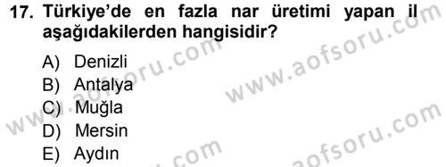 Bahçe Tarımı 2 Dersi 2012 - 2013 Yılı (Vize) Ara Sınav Soruları 17. Soru