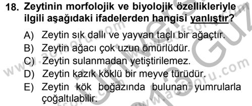 Bahçe Tarımı 2 Dersi 2012 - 2013 Yılı (Vize) Ara Sınav Soruları 18. Soru