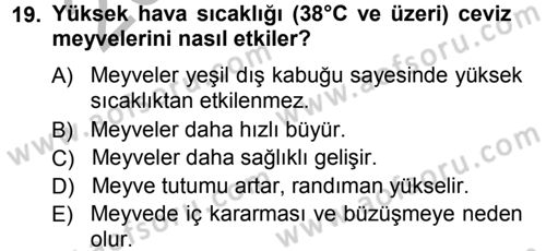 Bahçe Tarımı 2 Dersi 2012 - 2013 Yılı (Vize) Ara Sınav Soruları 19. Soru