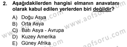 Bahçe Tarımı 2 Dersi 2012 - 2013 Yılı (Vize) Ara Sınav Soruları 2. Soru