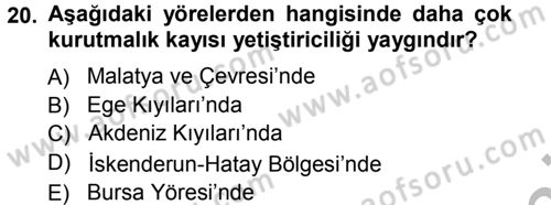 Bahçe Tarımı 2 Dersi 2012 - 2013 Yılı (Vize) Ara Sınav Soruları 20. Soru