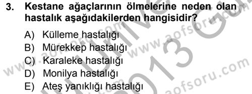 Bahçe Tarımı 2 Dersi 2012 - 2013 Yılı (Vize) Ara Sınav Soruları 3. Soru