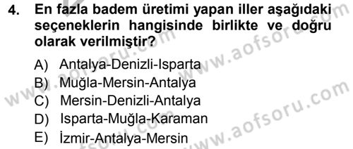 Bahçe Tarımı 2 Dersi 2012 - 2013 Yılı (Vize) Ara Sınav Soruları 4. Soru