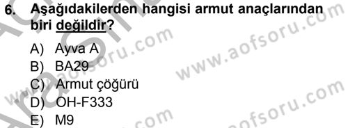 Bahçe Tarımı 2 Dersi 2012 - 2013 Yılı (Vize) Ara Sınav Soruları 6. Soru