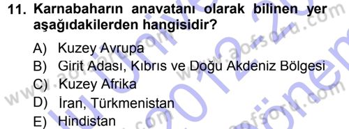 Bahçe Tarımı 2 Dersi 2012 - 2013 Yılı (Final) Dönem Sonu Sınav Soruları 11. Soru