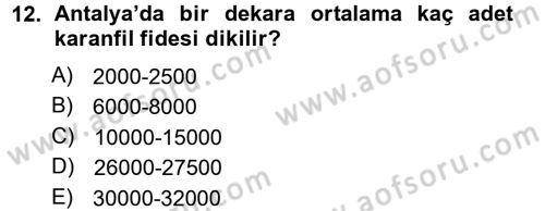 Bahçe Tarımı 2 Dersi 2012 - 2013 Yılı (Final) Dönem Sonu Sınav Soruları 12. Soru