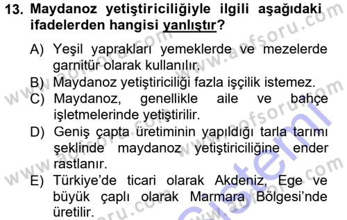 Bahçe Tarımı 2 Dersi 2012 - 2013 Yılı (Final) Dönem Sonu Sınav Soruları 13. Soru