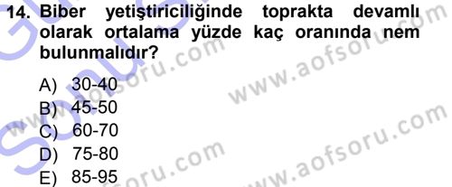 Bahçe Tarımı 2 Dersi 2012 - 2013 Yılı (Final) Dönem Sonu Sınav Soruları 14. Soru