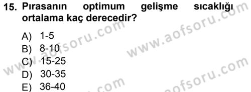 Bahçe Tarımı 2 Dersi 2012 - 2013 Yılı (Final) Dönem Sonu Sınav Soruları 15. Soru
