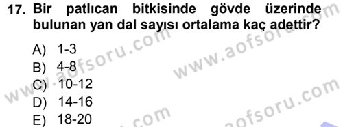 Bahçe Tarımı 2 Dersi 2012 - 2013 Yılı (Final) Dönem Sonu Sınav Soruları 17. Soru