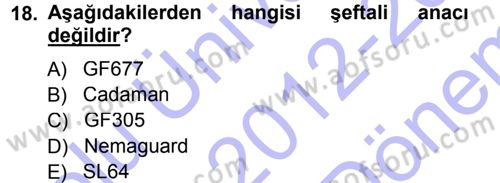 Bahçe Tarımı 2 Dersi 2012 - 2013 Yılı (Final) Dönem Sonu Sınav Soruları 18. Soru