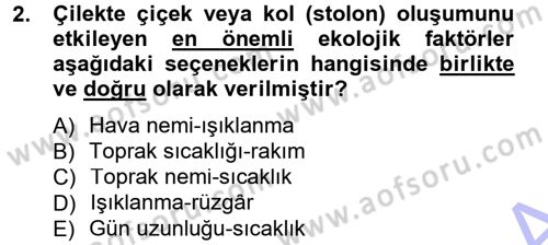 Bahçe Tarımı 2 Dersi 2012 - 2013 Yılı (Final) Dönem Sonu Sınav Soruları 2. Soru