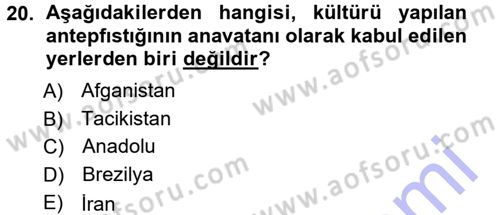 Bahçe Tarımı 2 Dersi 2012 - 2013 Yılı (Final) Dönem Sonu Sınav Soruları 20. Soru