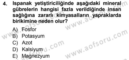 Bahçe Tarımı 2 Dersi 2012 - 2013 Yılı (Final) Dönem Sonu Sınav Soruları 4. Soru