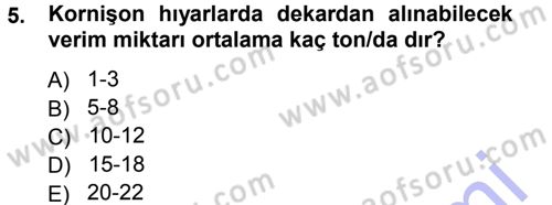 Bahçe Tarımı 2 Dersi 2012 - 2013 Yılı (Final) Dönem Sonu Sınav Soruları 5. Soru