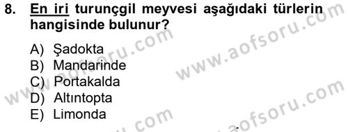 Bahçe Tarımı 2 Dersi 2012 - 2013 Yılı (Final) Dönem Sonu Sınav Soruları 8. Soru
