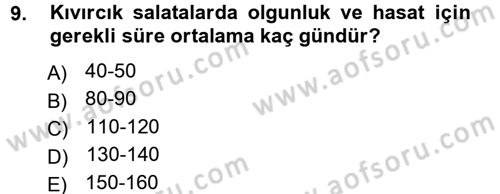 Bahçe Tarımı 2 Dersi 2012 - 2013 Yılı (Final) Dönem Sonu Sınav Soruları 9. Soru