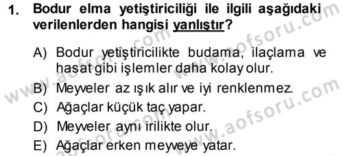 Bahçe Tarımı 2 Dersi 2013 - 2014 Yılı (Vize) Ara Sınav Soruları 1. Soru