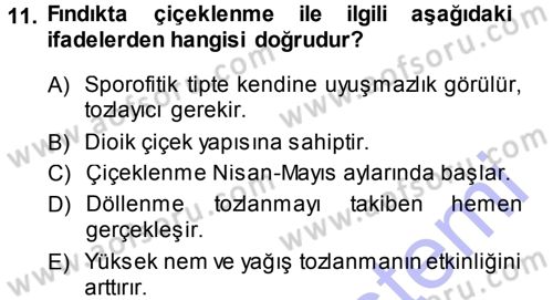 Bahçe Tarımı 2 Dersi 2013 - 2014 Yılı (Vize) Ara Sınav Soruları 11. Soru
