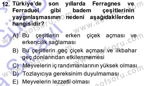 Bahçe Tarımı 2 Dersi 2013 - 2014 Yılı (Vize) Ara Sınav Soruları 12. Soru