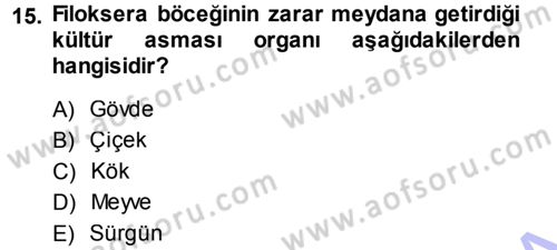 Bahçe Tarımı 2 Dersi 2013 - 2014 Yılı (Vize) Ara Sınav Soruları 15. Soru
