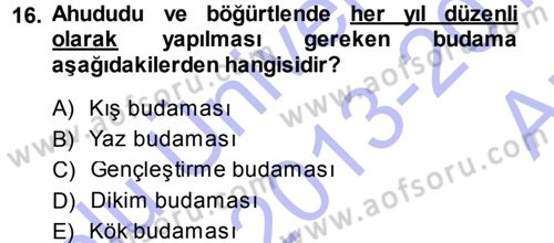 Bahçe Tarımı 2 Dersi 2013 - 2014 Yılı (Vize) Ara Sınav Soruları 16. Soru