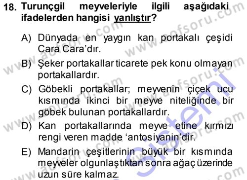 Bahçe Tarımı 2 Dersi 2013 - 2014 Yılı (Vize) Ara Sınavı 18. Soru