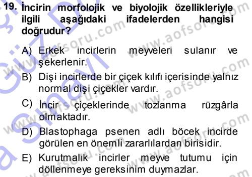 Bahçe Tarımı 2 Dersi 2013 - 2014 Yılı (Vize) Ara Sınav Soruları 19. Soru