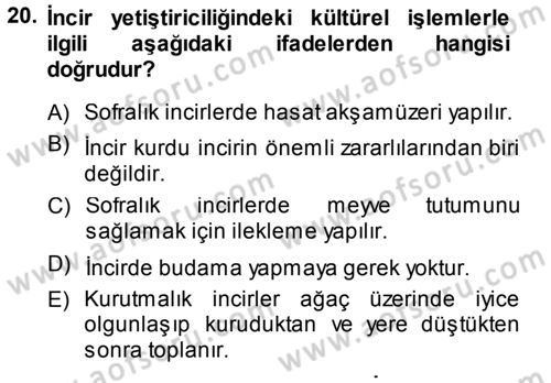 Bahçe Tarımı 2 Dersi 2013 - 2014 Yılı (Vize) Ara Sınav Soruları 20. Soru