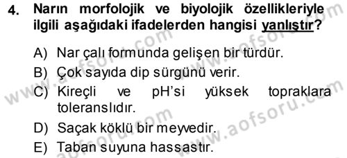 Bahçe Tarımı 2 Dersi 2013 - 2014 Yılı (Vize) Ara Sınav Soruları 4. Soru