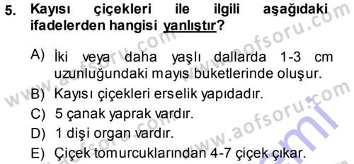 Bahçe Tarımı 2 Dersi 2013 - 2014 Yılı (Vize) Ara Sınav Soruları 5. Soru