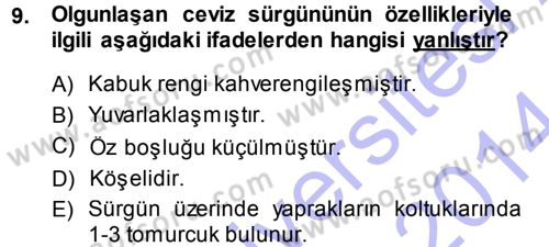 Bahçe Tarımı 2 Dersi 2013 - 2014 Yılı (Vize) Ara Sınav Soruları 9. Soru