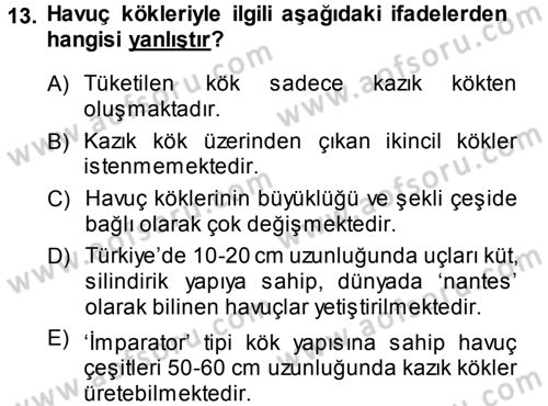 Bahçe Tarımı 2 Dersi 2013 - 2014 Yılı (Final) Dönem Sonu Sınav Soruları 13. Soru