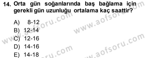 Bahçe Tarımı 2 Dersi 2013 - 2014 Yılı (Final) Dönem Sonu Sınav Soruları 14. Soru
