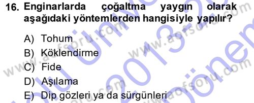 Bahçe Tarımı 2 Dersi 2013 - 2014 Yılı (Final) Dönem Sonu Sınav Soruları 16. Soru