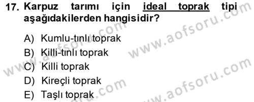 Bahçe Tarımı 2 Dersi 2013 - 2014 Yılı (Final) Dönem Sonu Sınav Soruları 17. Soru