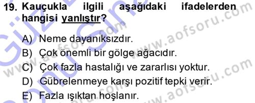 Bahçe Tarımı 2 Dersi 2013 - 2014 Yılı (Final) Dönem Sonu Sınav Soruları 19. Soru