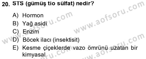 Bahçe Tarımı 2 Dersi 2013 - 2014 Yılı (Final) Dönem Sonu Sınav Soruları 20. Soru