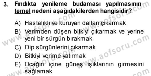 Bahçe Tarımı 2 Dersi 2013 - 2014 Yılı (Final) Dönem Sonu Sınav Soruları 3. Soru