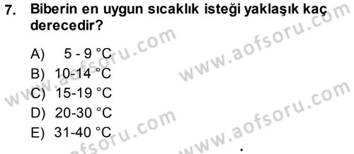 Bahçe Tarımı 2 Dersi 2013 - 2014 Yılı (Final) Dönem Sonu Sınav Soruları 7. Soru